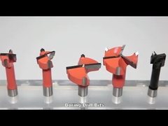 Shank 10x20mm Tungsten Karbür Ekli Uç Ahşap Delik Matkap Ucu